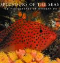 Splendors of the Seas