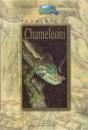 Chameleoni 2