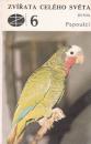 Zvířata celého světa - 6 - Papoušci