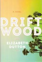 Drift Wood (A Novel)
