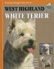 West highland white teriér