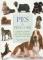 Pes a péče o něj (Podrobná a praktická příručka o výcviku psa, péči o něj a encyklopedie plemen z celého světa)